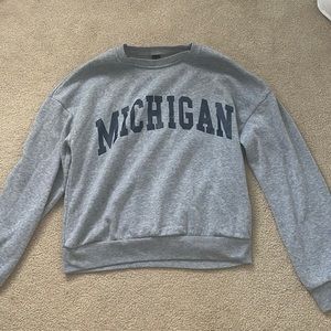 grey michigan state crewneck